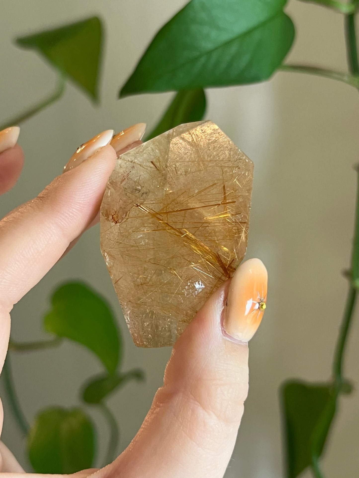 Golden Rutile Quartz Gusher - IQ