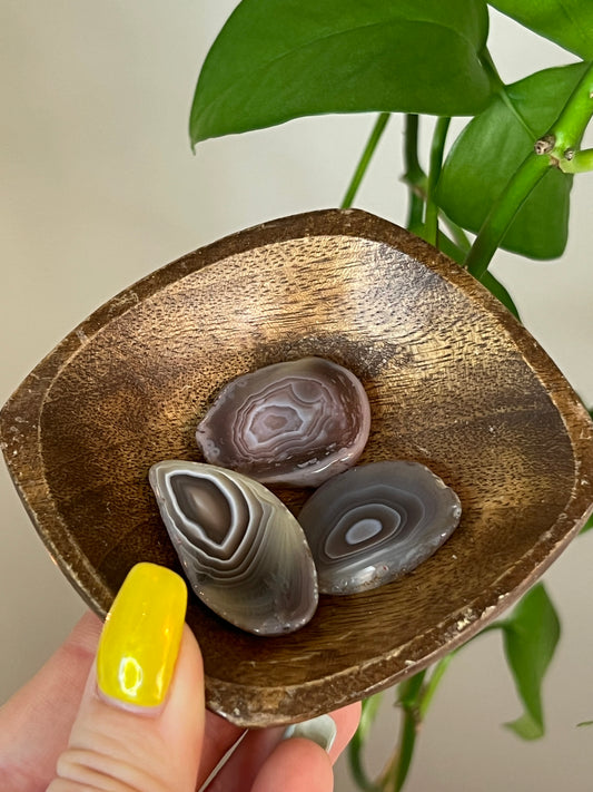 Botswana Agate Slices
