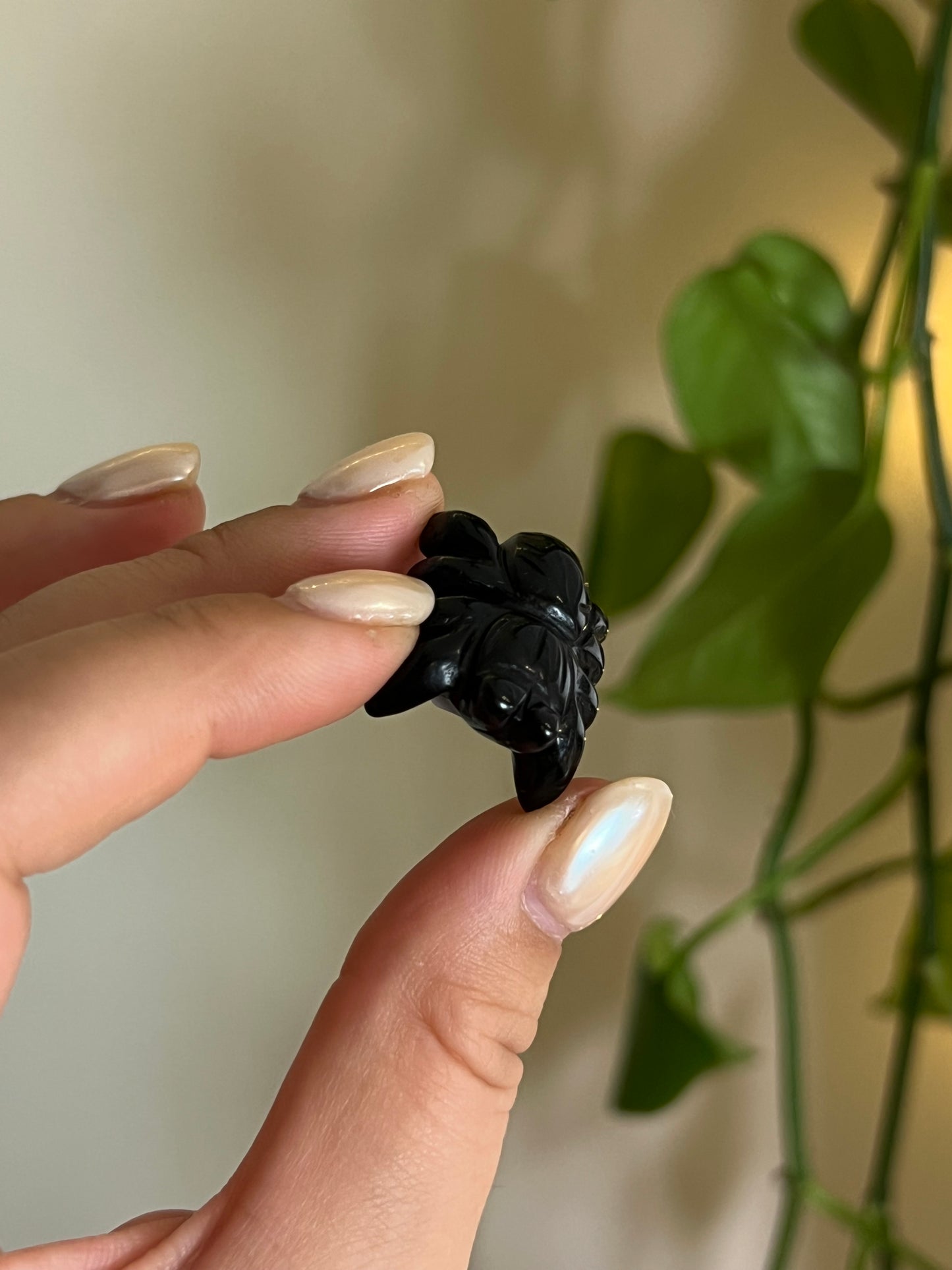 Black Obsidian Small Spider