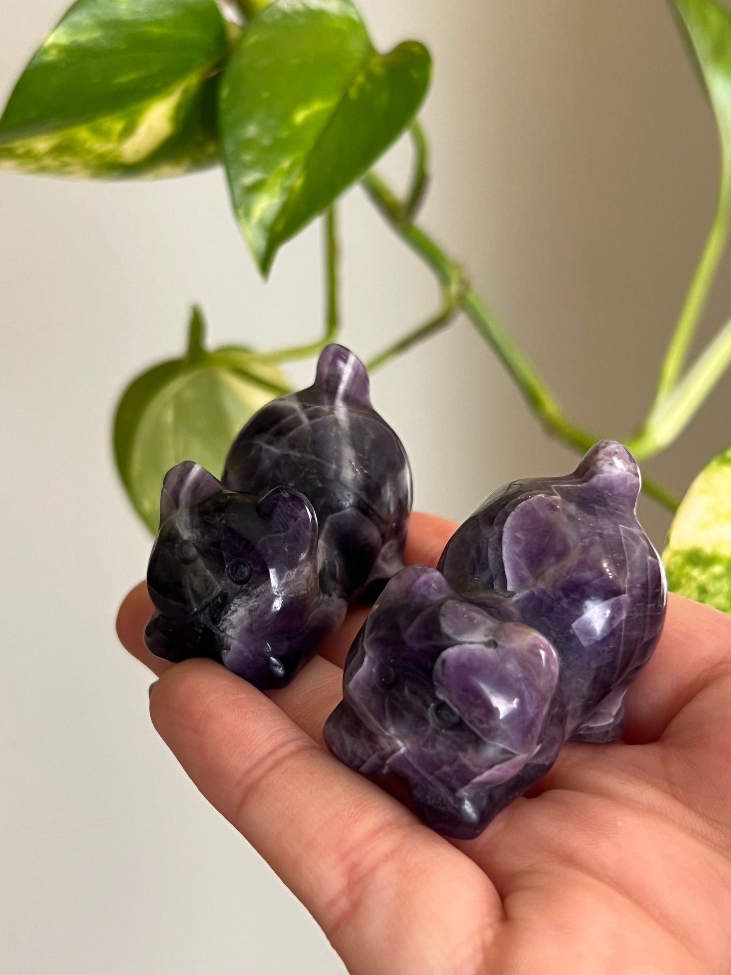 Dream Amethyst Playful Cat