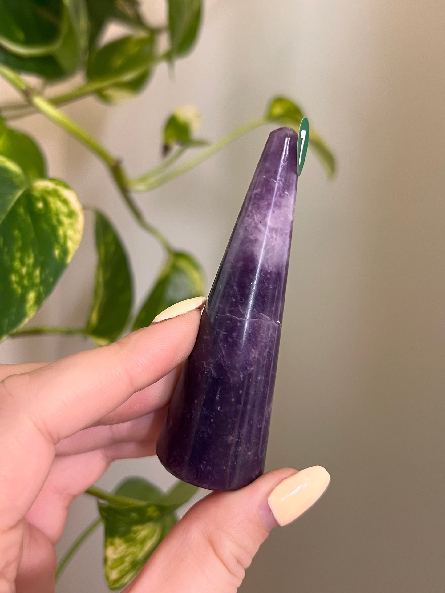 Lepidolite Ring Holder - 7