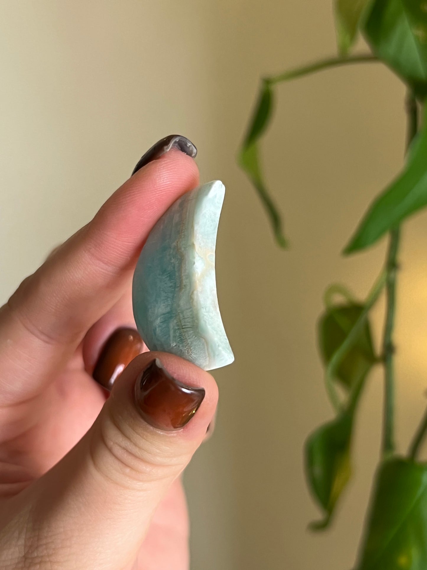 Caribbean Calcite Small Moon