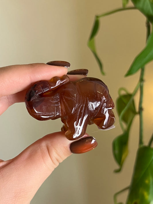 Carnelian Elephant