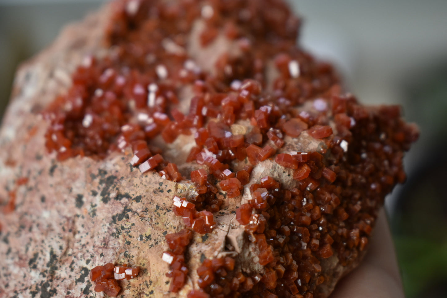Vandanite Cluster