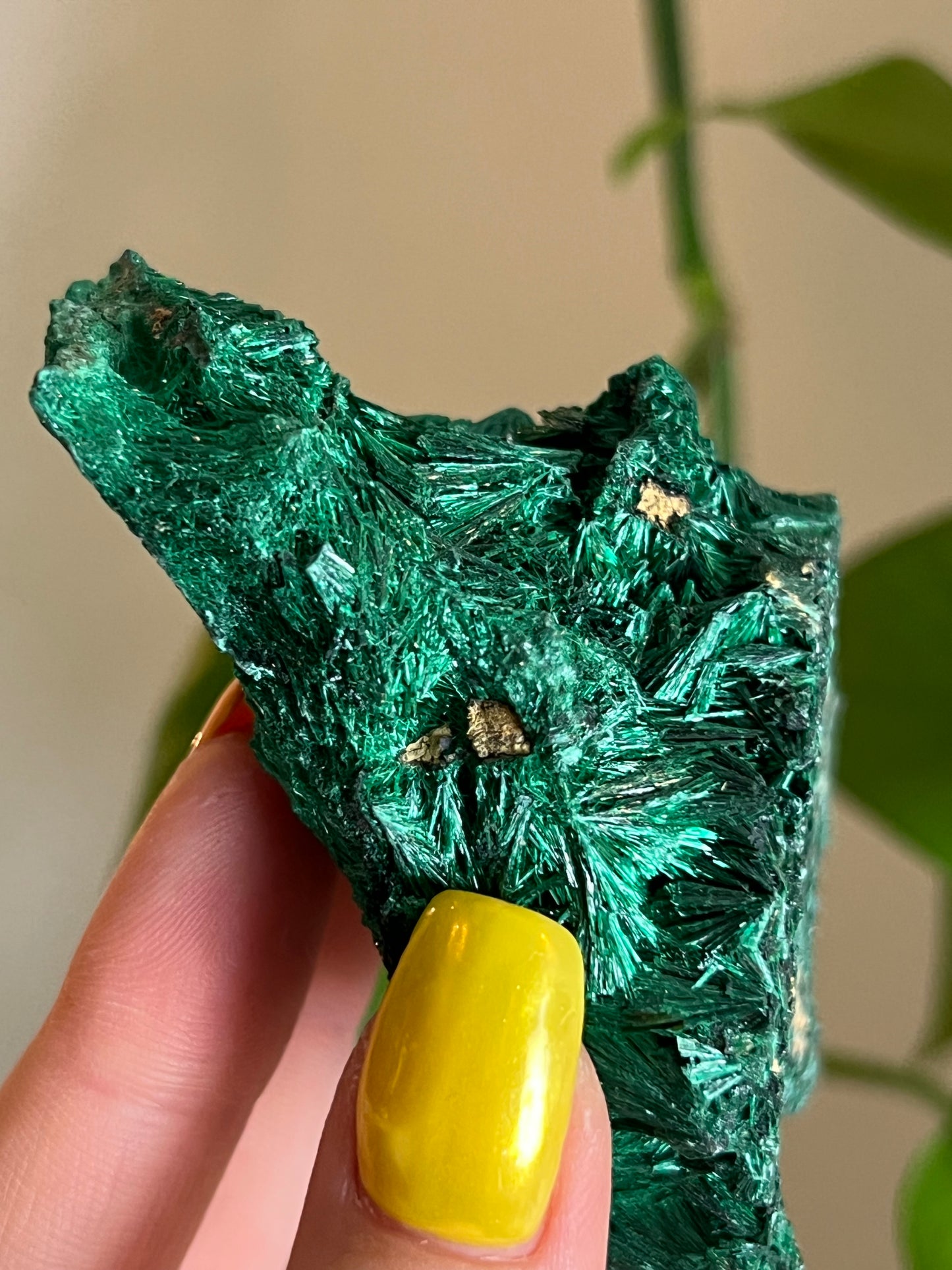 Velvet Malachite Raw B