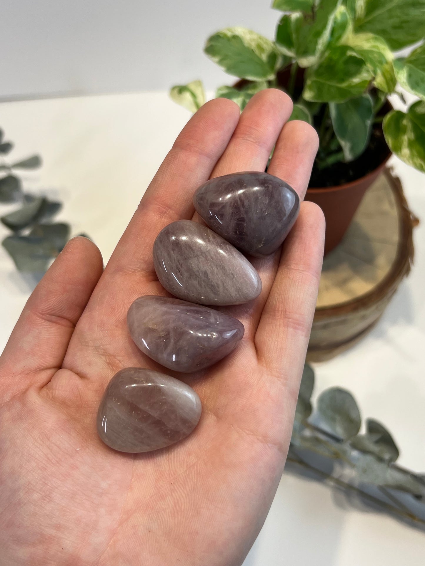 Purple Rose Quartz Tumbled