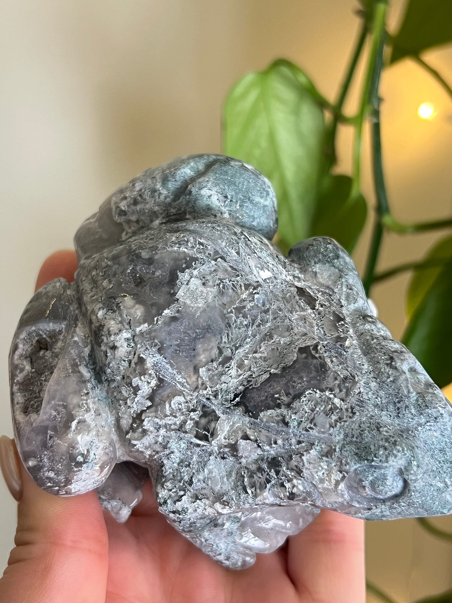 Moss Agate Large Frog