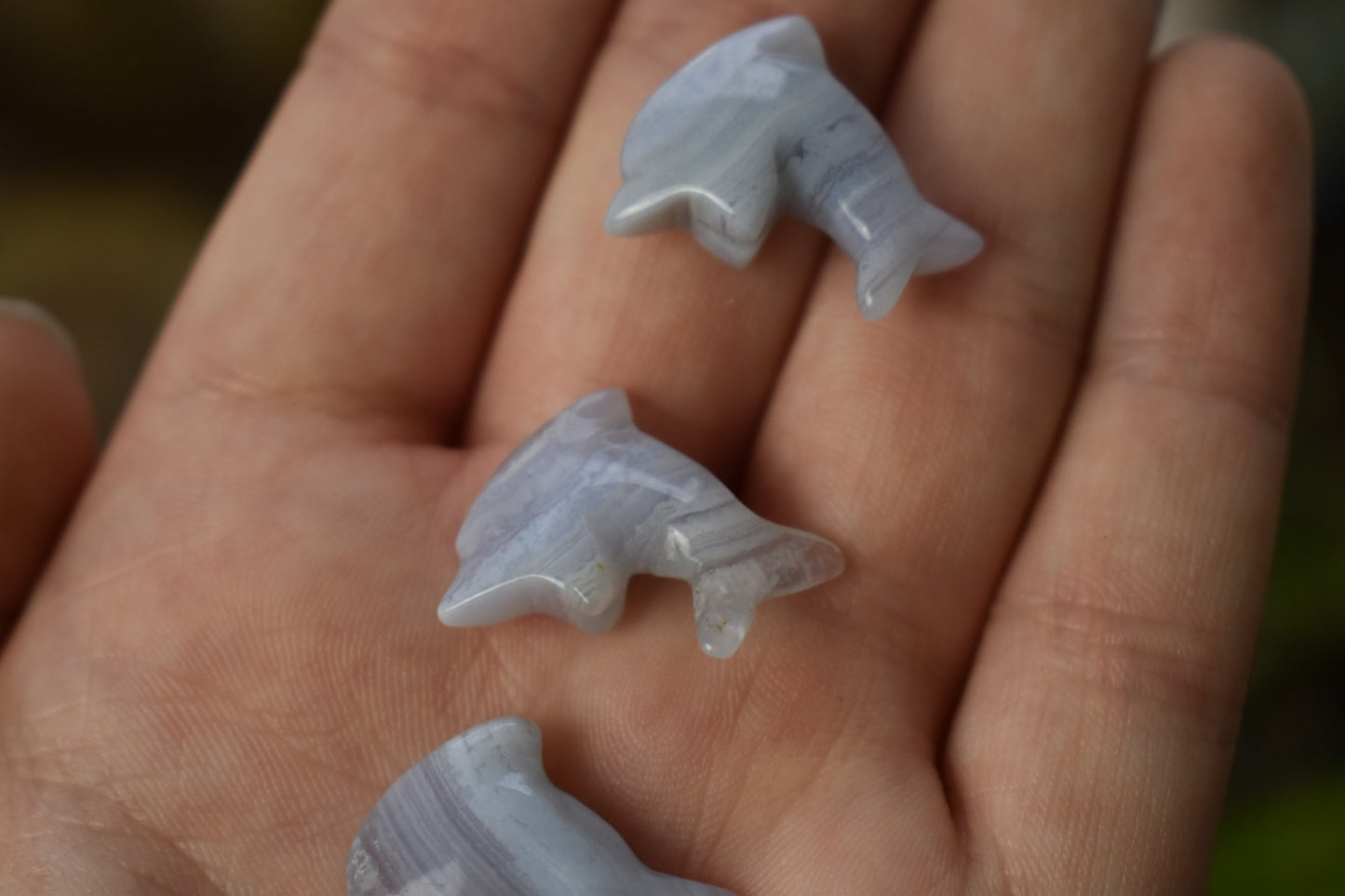 Blue Lace Agate Dolphin