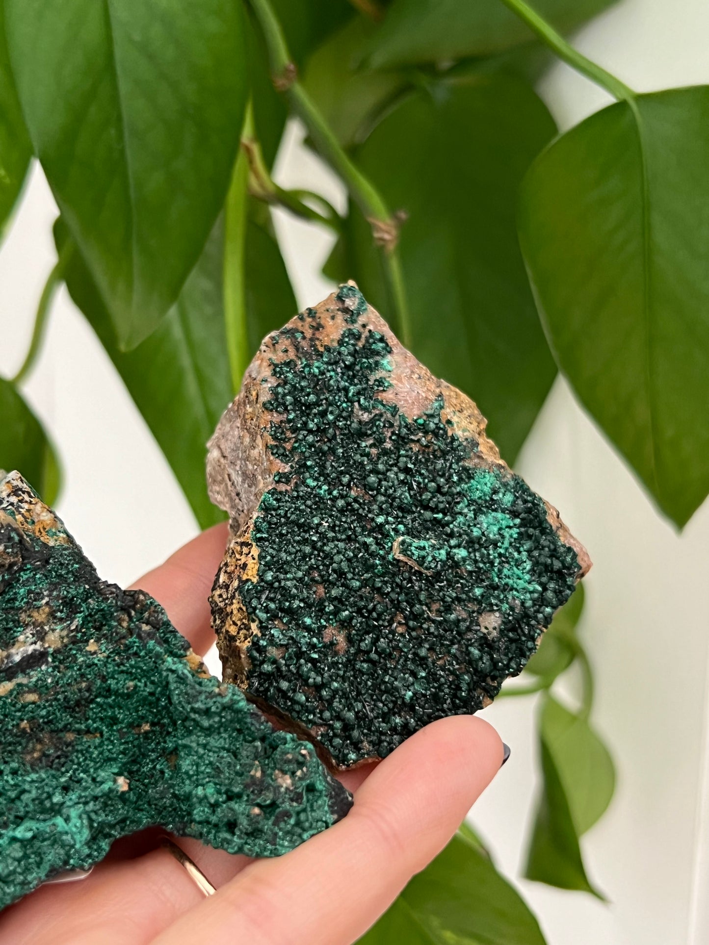 Botryoidal Malachite - Intuitively Chosen