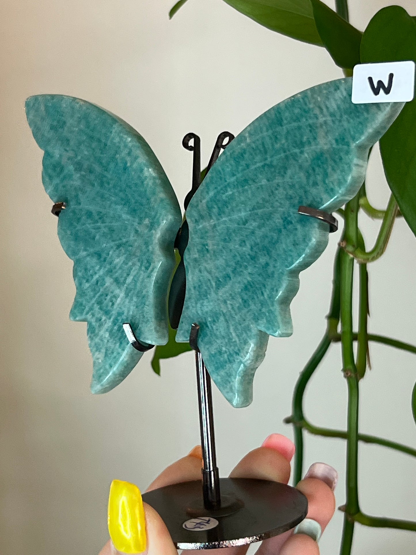 Amazonite Butterfly Stand - W