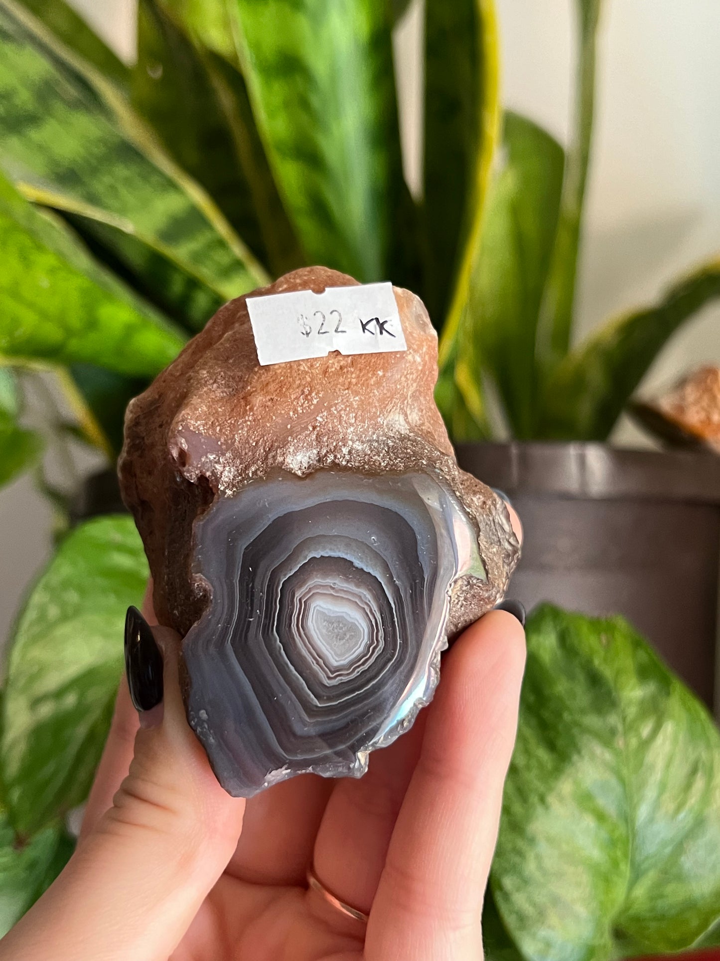 Red Sache River Agate Agate | 1 Left!