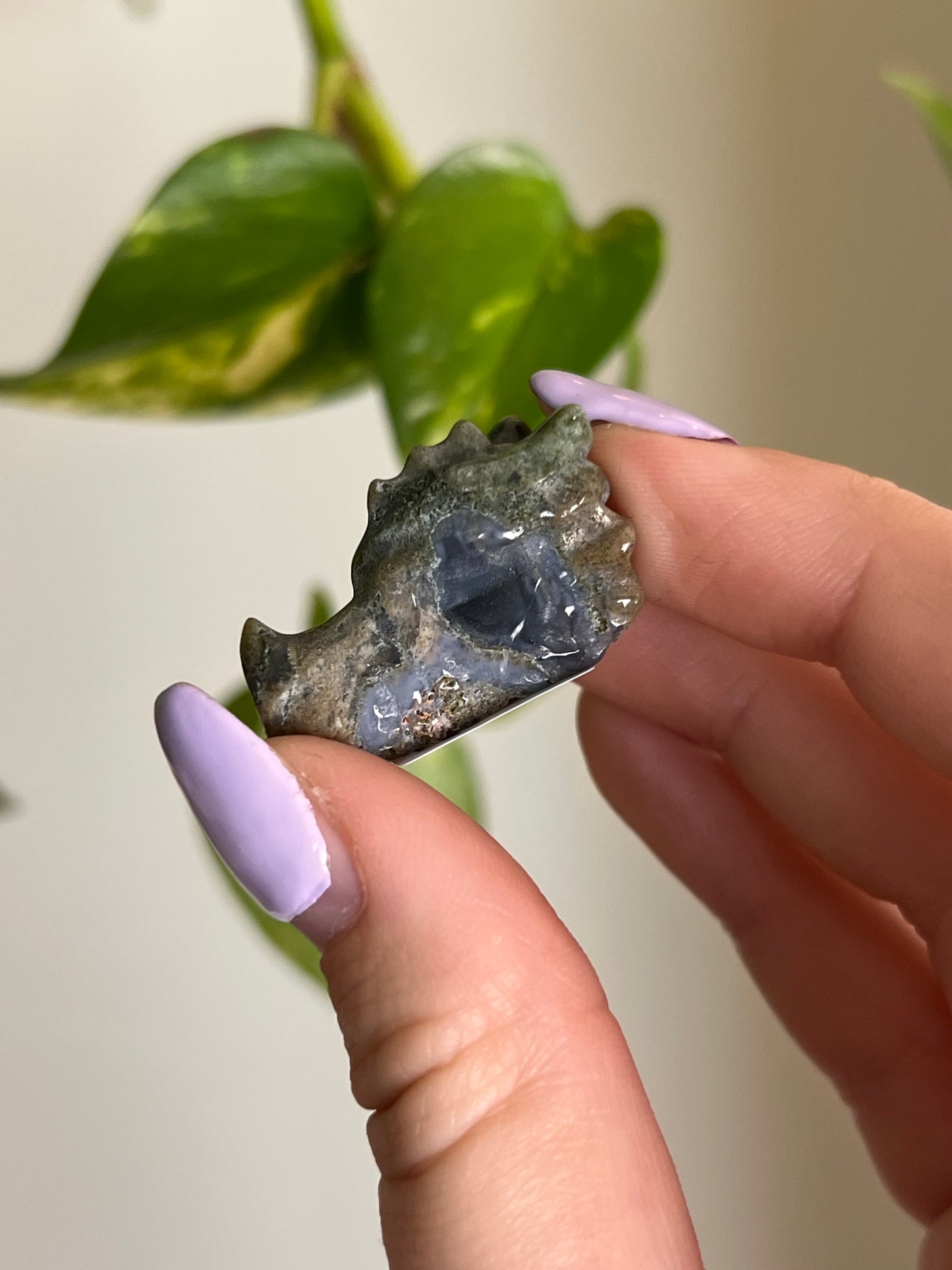 Moss Agate Dragon Head