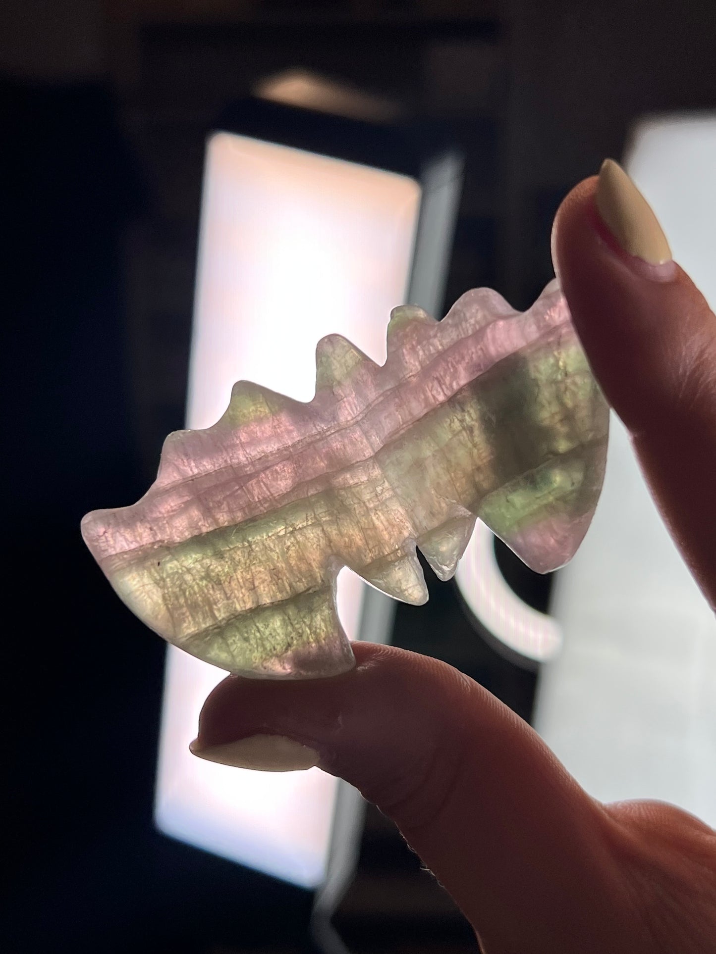 Pastel Rainbow Fluorite 3D Bat