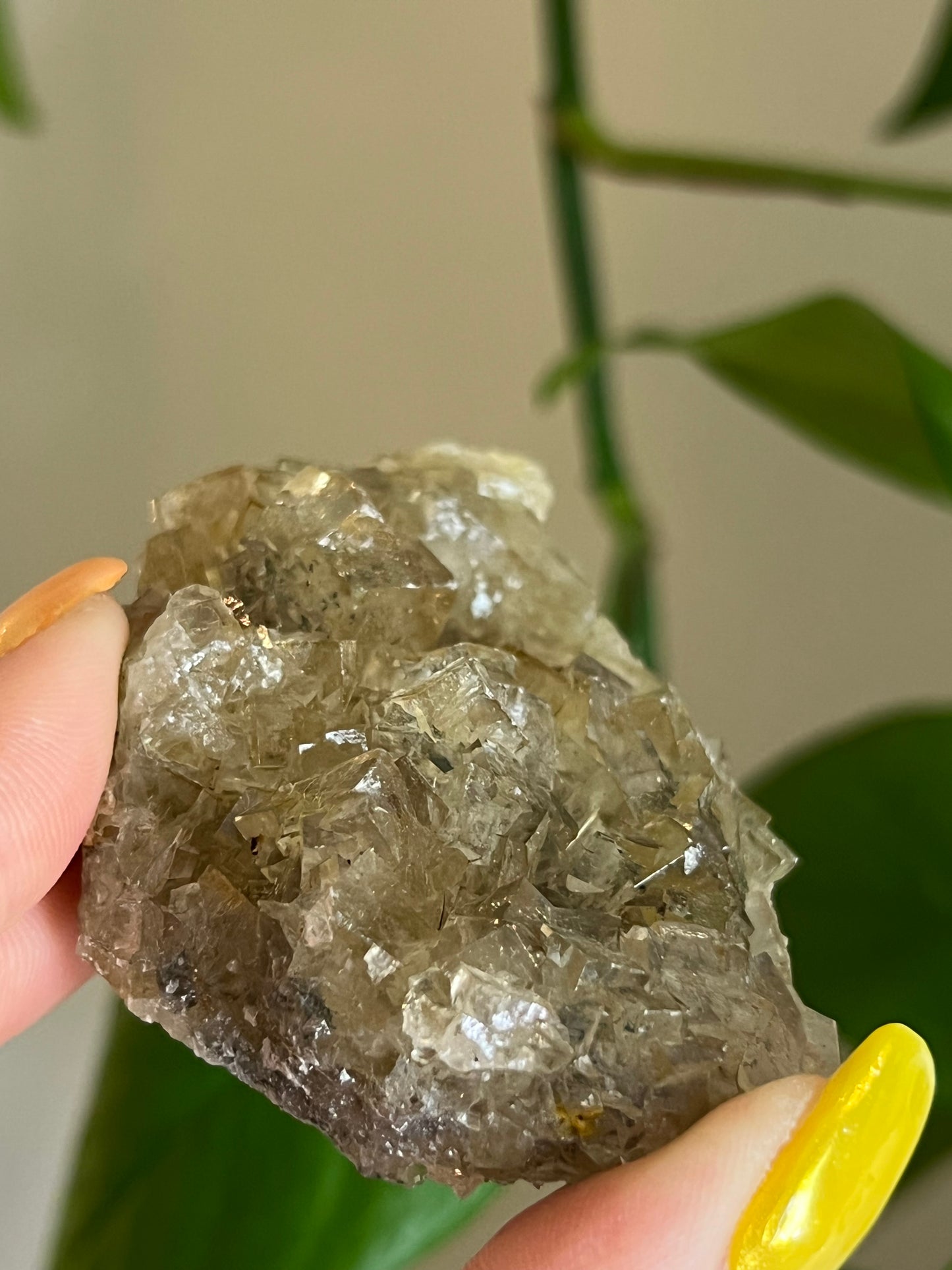 Yellow Fluorite Cluster Q