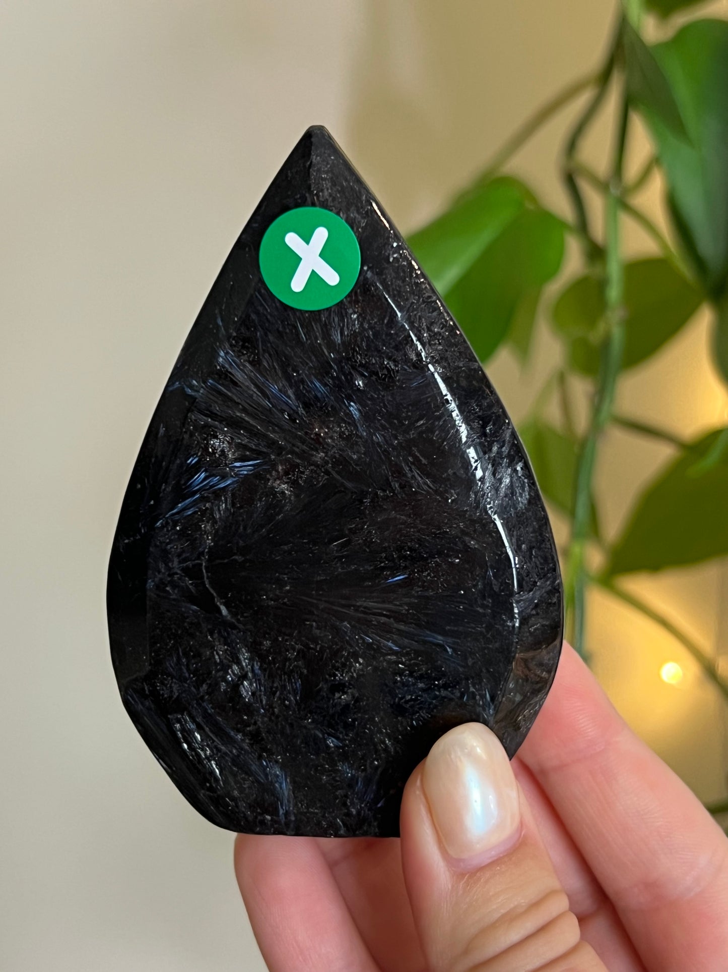 Astrophyllite on Matrix Freeform - X