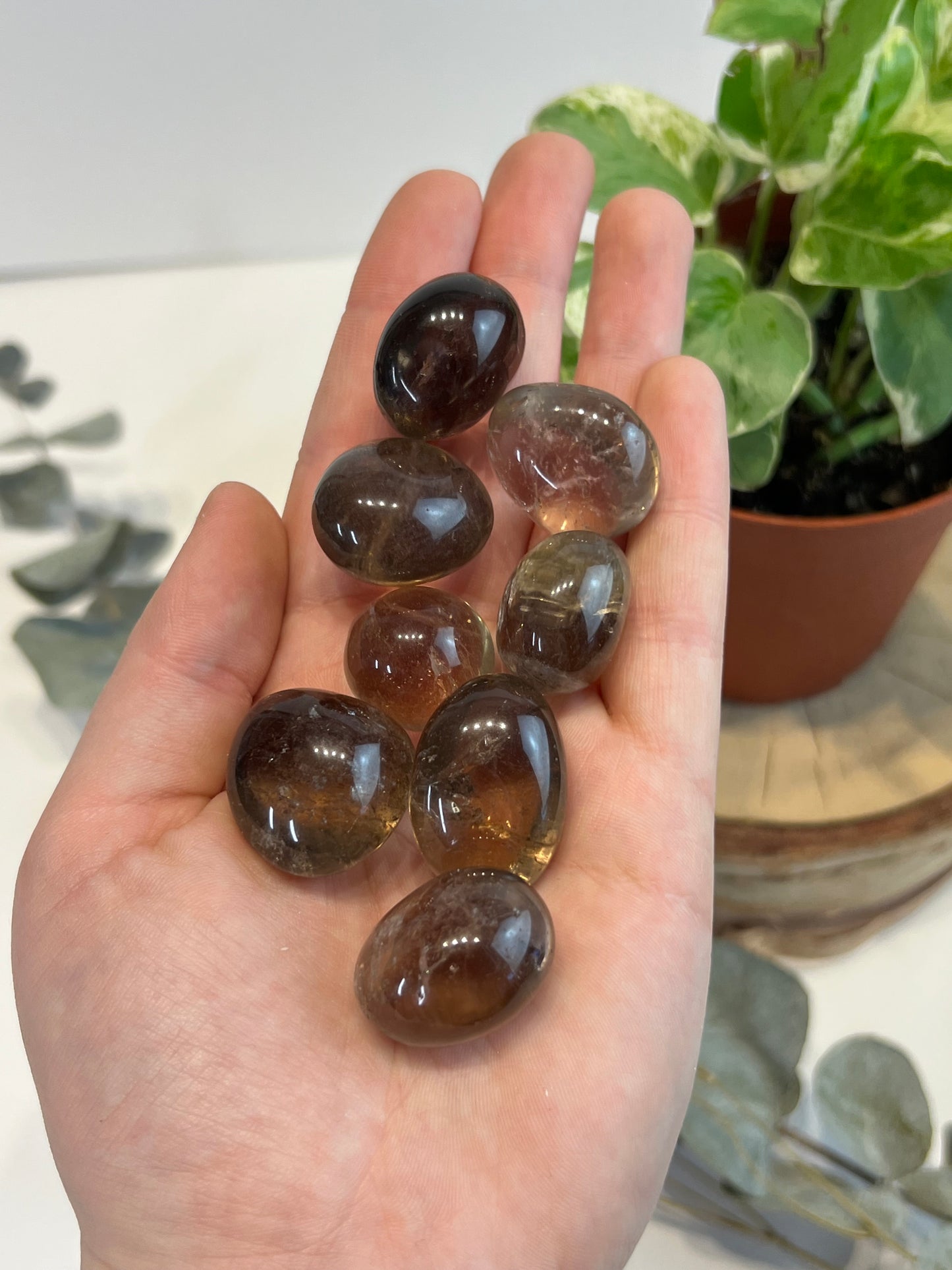 Smoky Quartz Tumbled