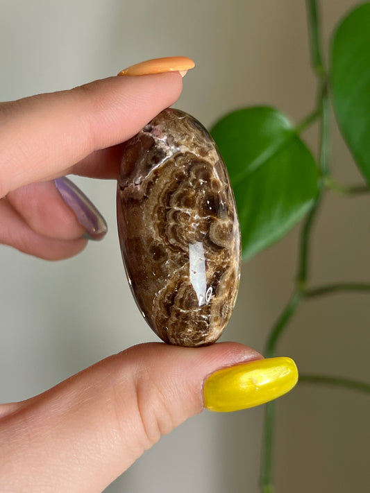 Chocolate Calcite Bean