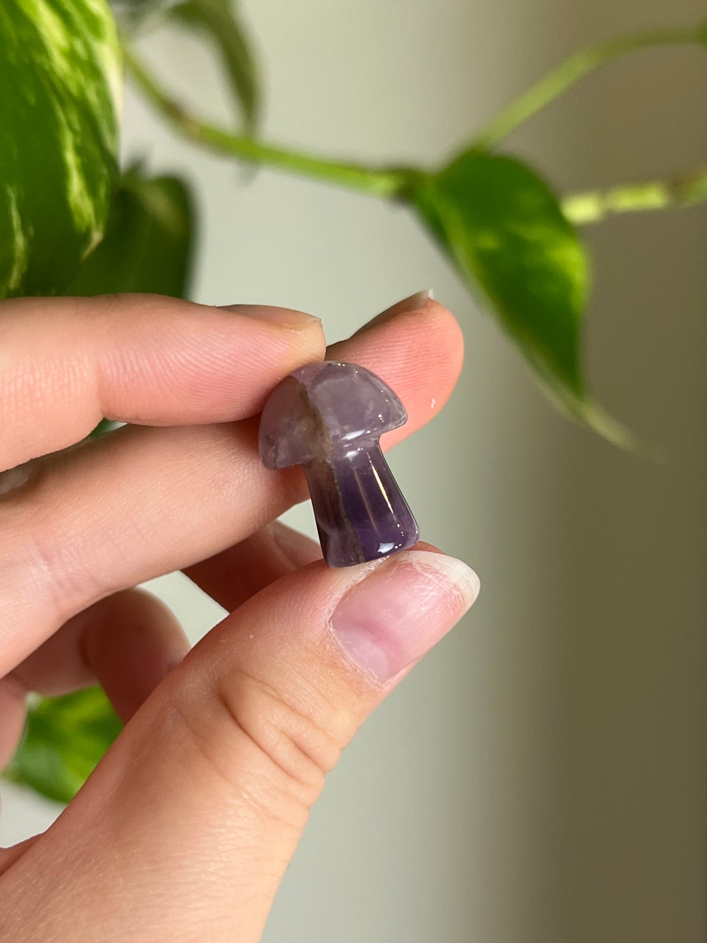 Amethyst Mini Mushie