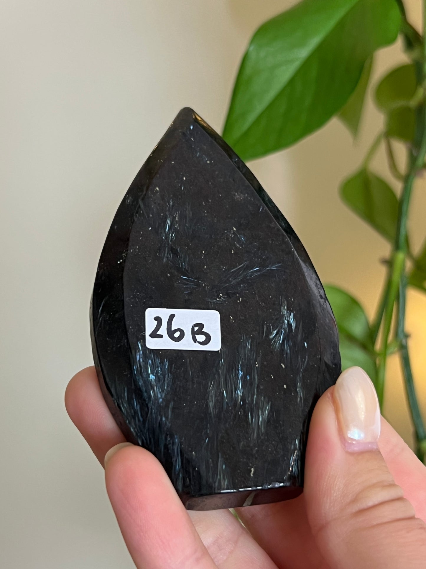 Astrophyllite on Matrix Freeform - B