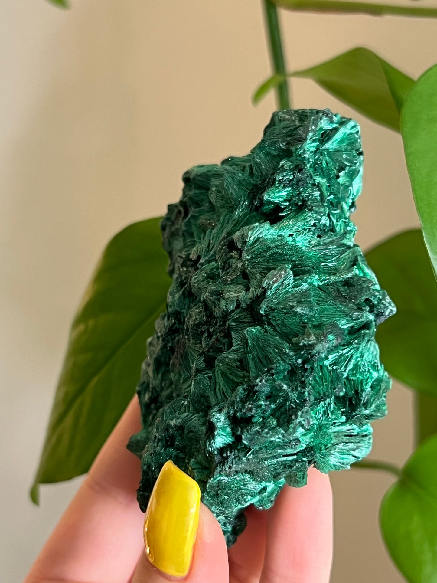 Velvet Malachite Raw C