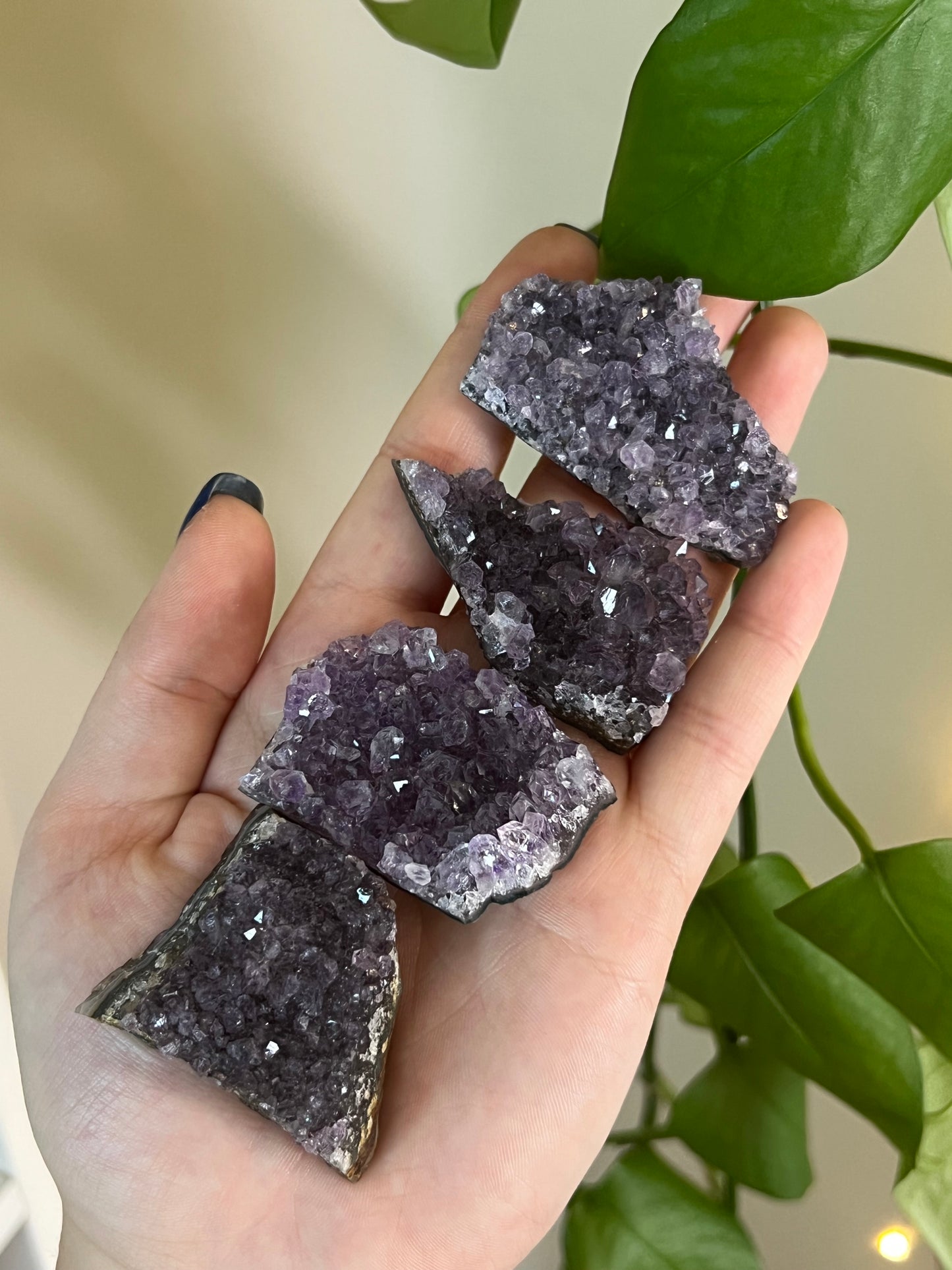 Amethyst Cluster Mini - Intuitively Chosen