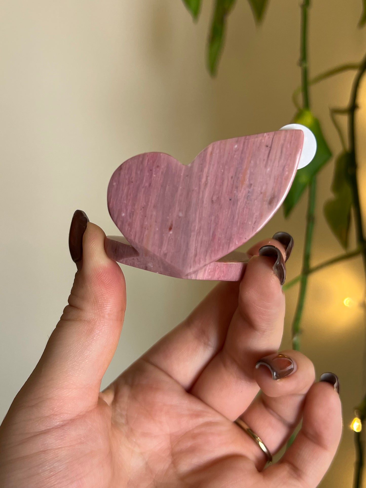 Pink Petrified Wood 3D Butterfly - H