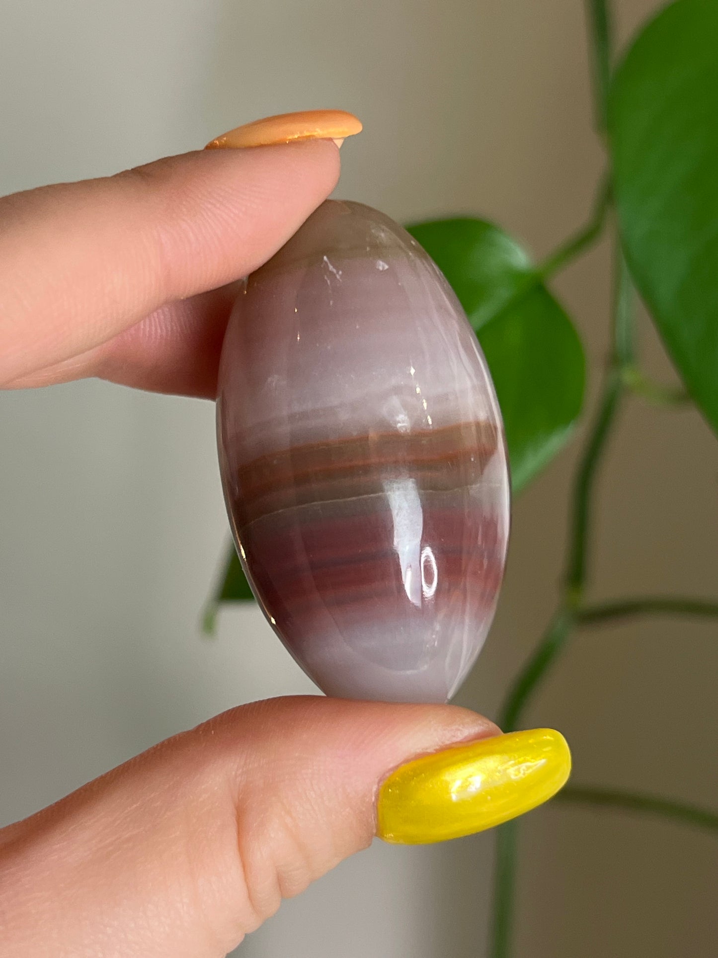 Pink Banded Onyx Bean
