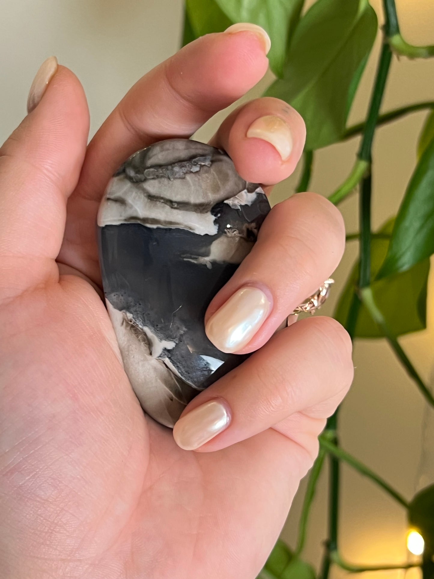Volcano Agate Palm Stone - Large