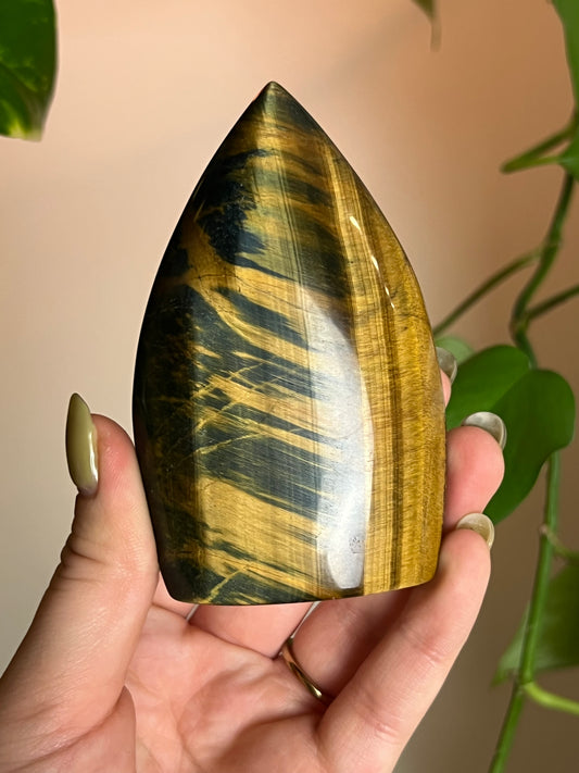 Blue + Golden Tigers Eye Freeform F