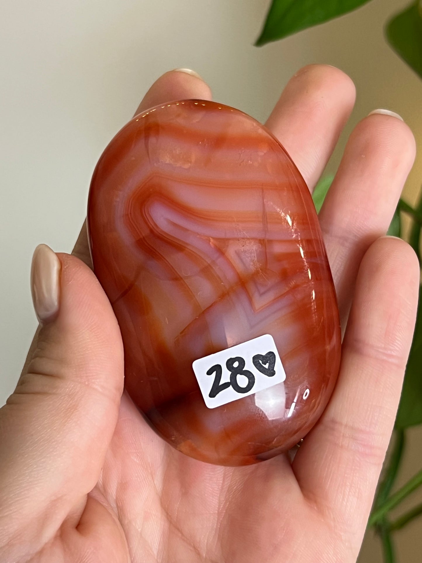 High Quality Carnelian Palm Stone B
