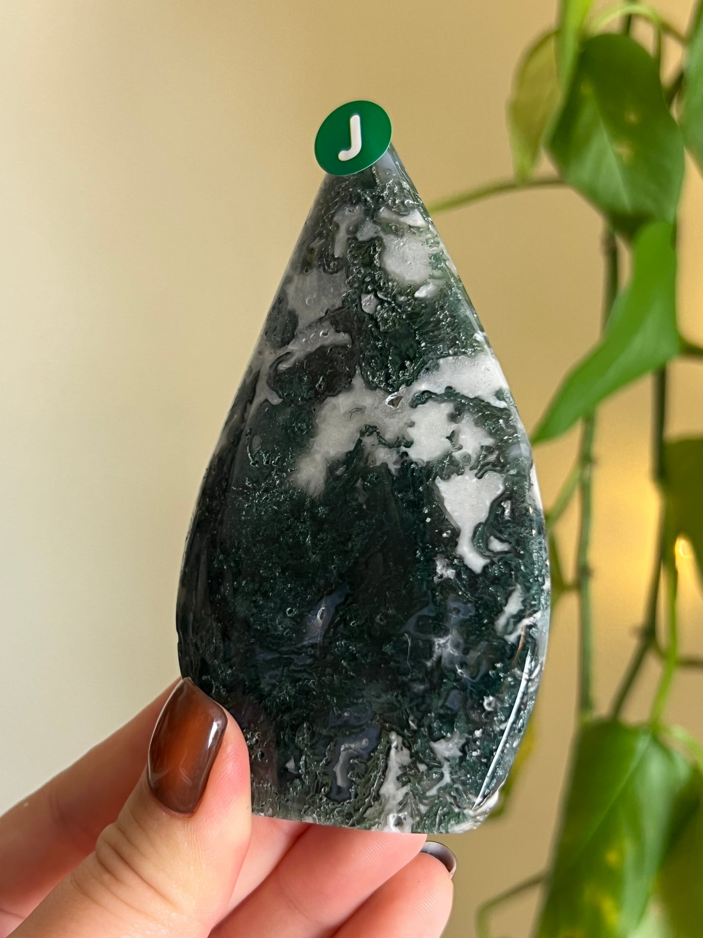 Moss Agate Freeform - J