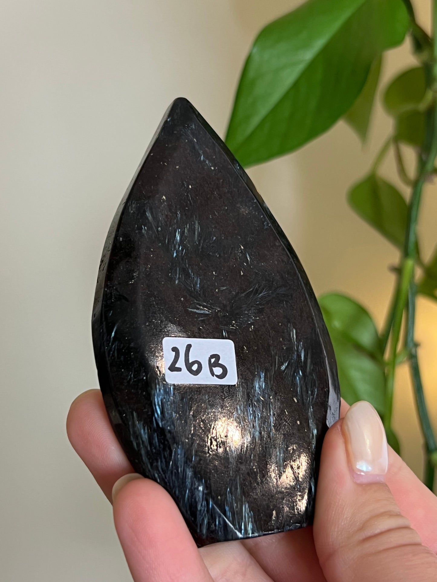 Astrophyllite on Matrix Freeform - B