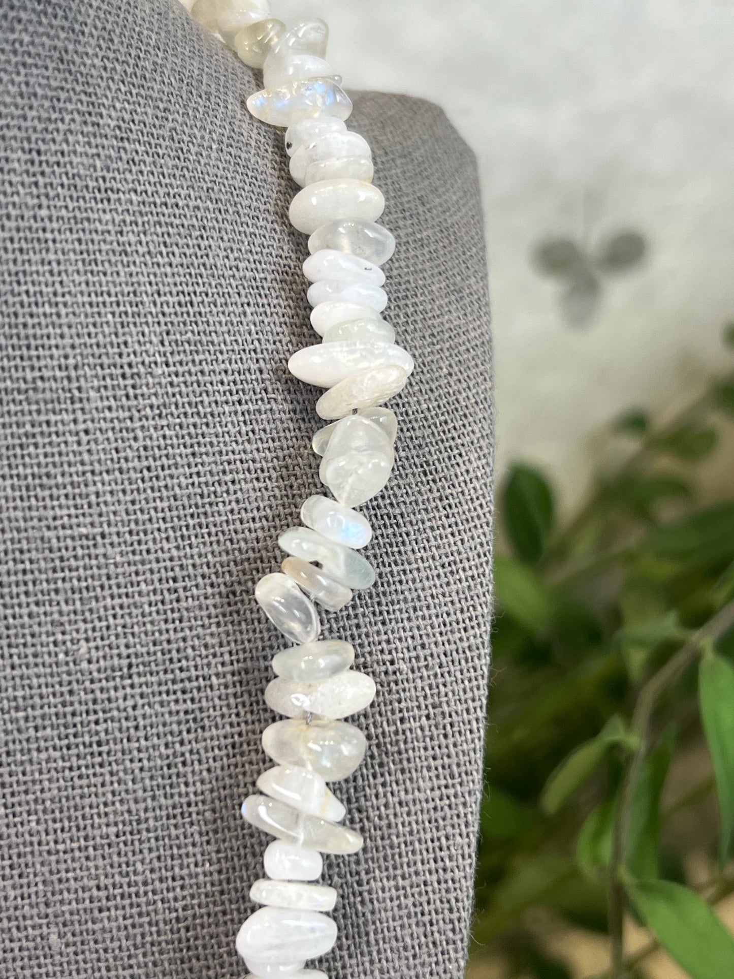 Collier magique de champignons trans