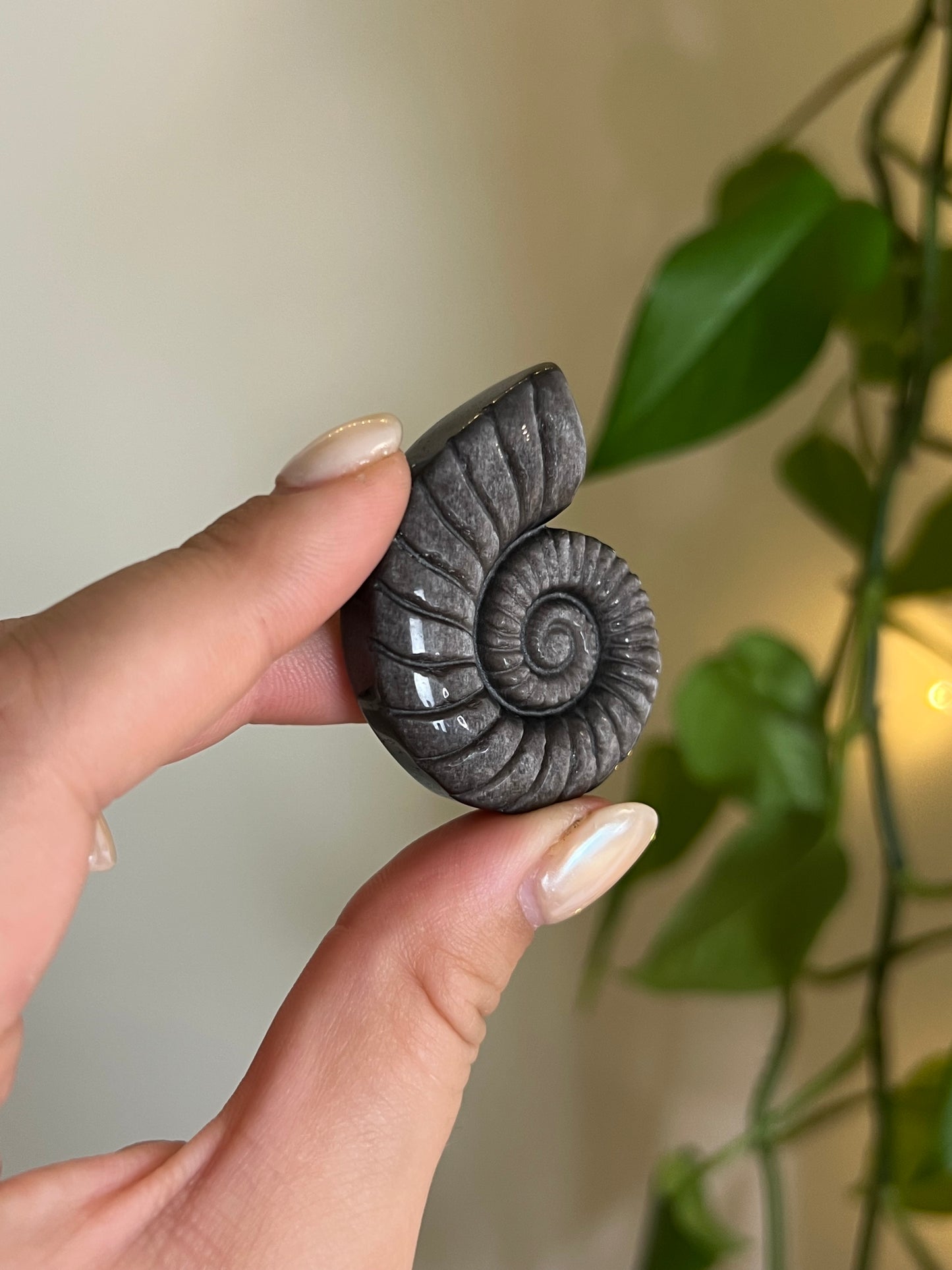 Silver Sheen Obsidian "Ammonite" Carving