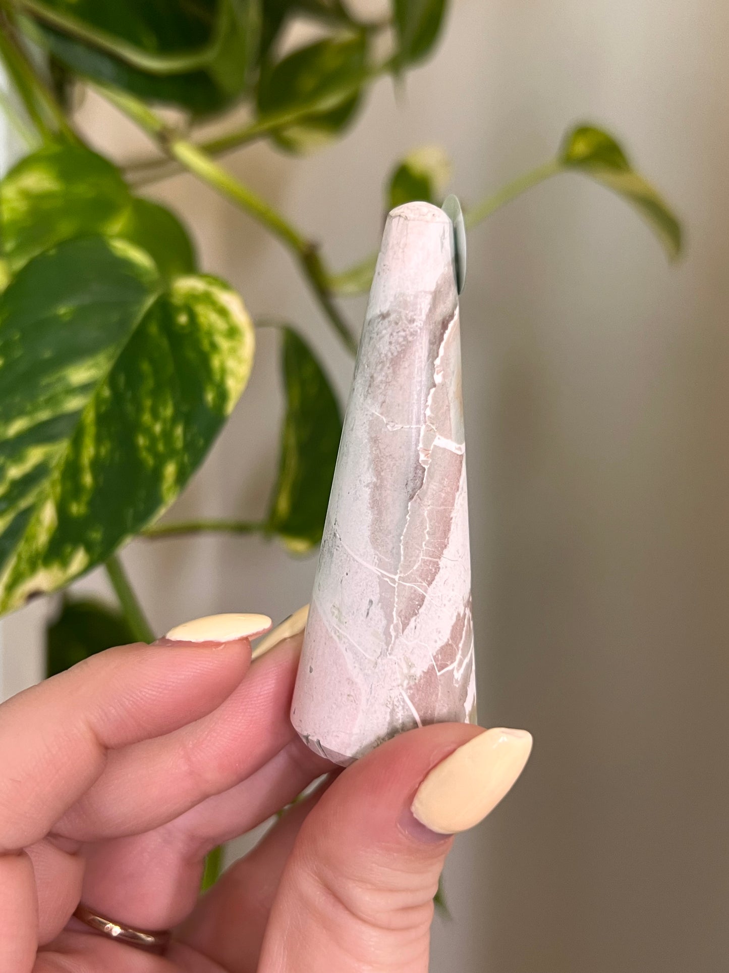 Unicorn Jasper Ring Holder - 1