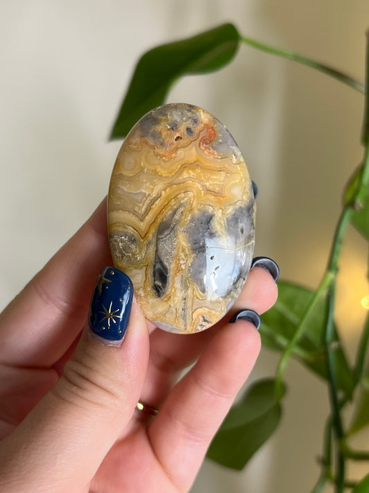 Crazy Lace Agate Palm Stone