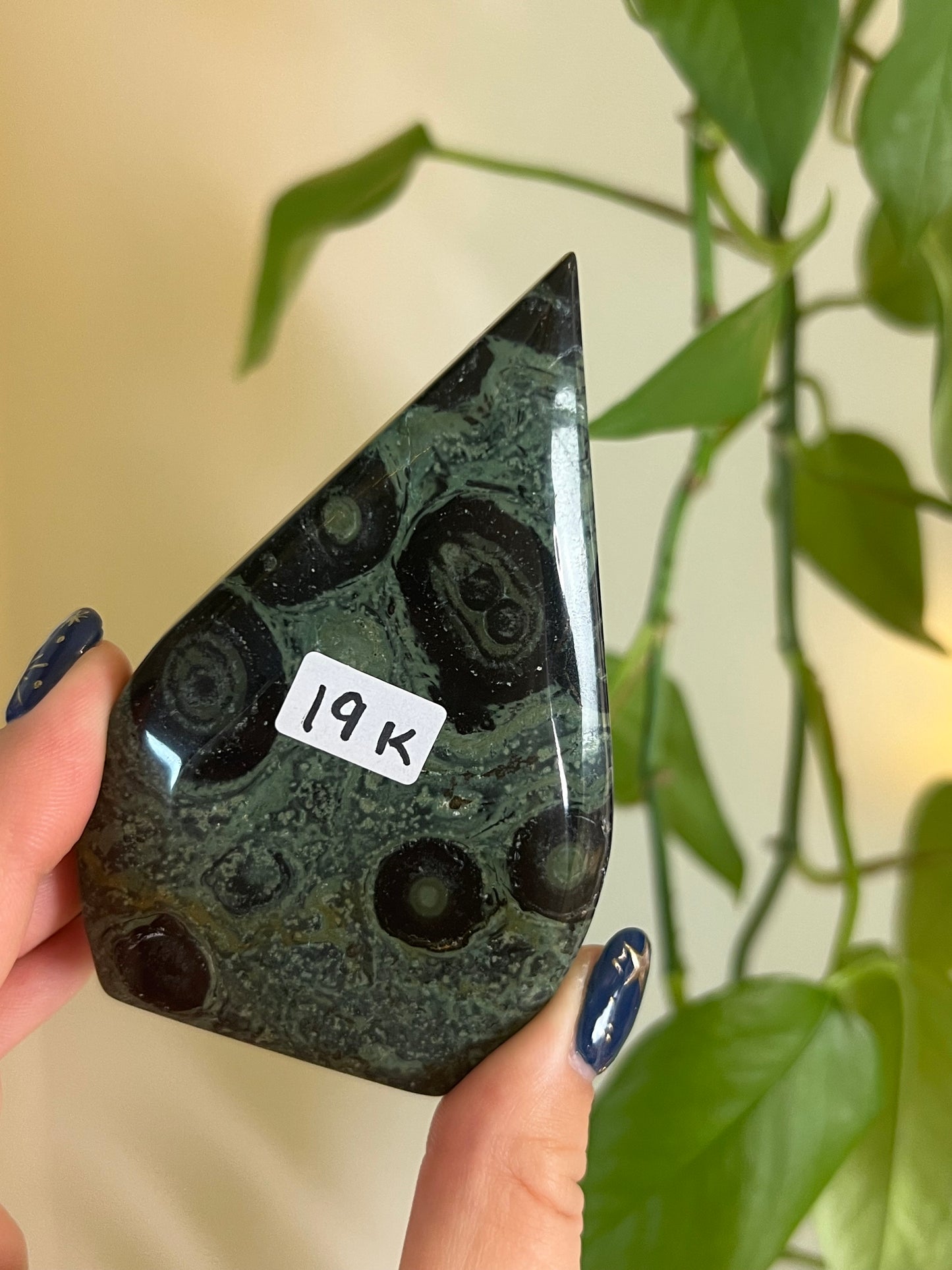 Kambaba Jasper Freeform - K
