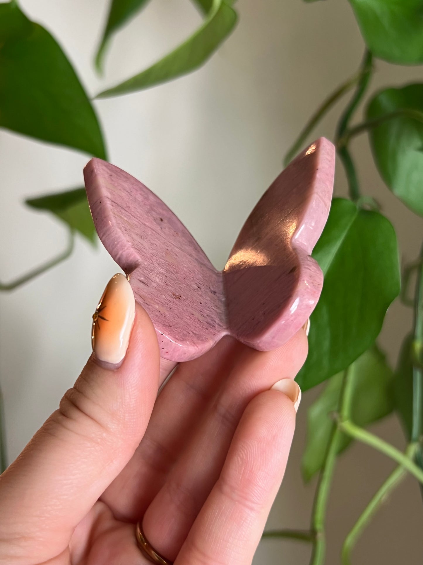 Pink Petrified Wood 3D Butterfly