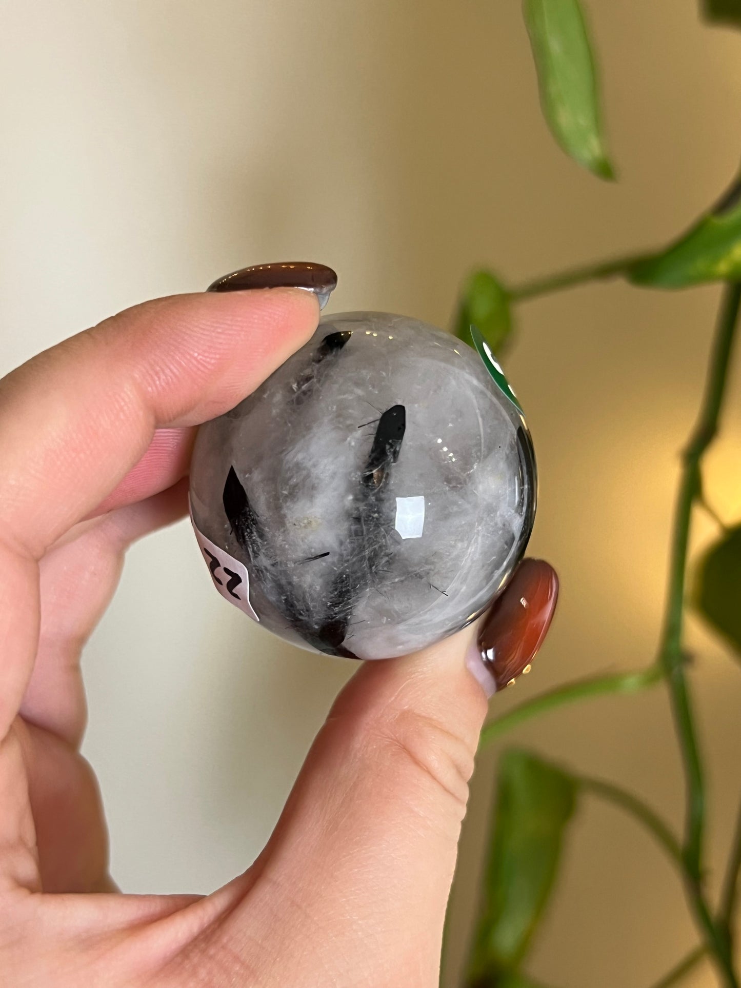 Black Tourmaline in Quartz Sphere - S