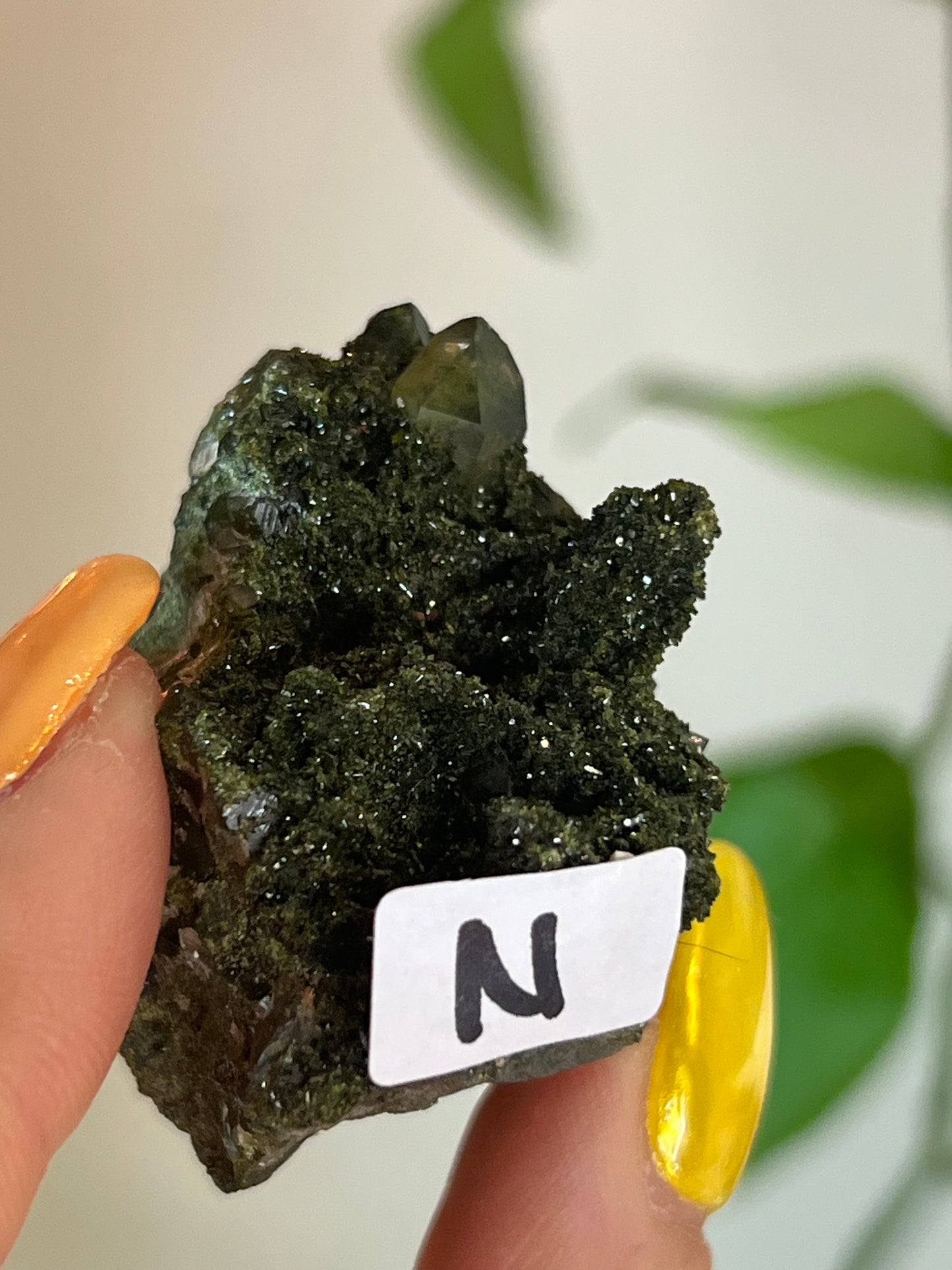 Forest Epidote Quartz Cluster - N