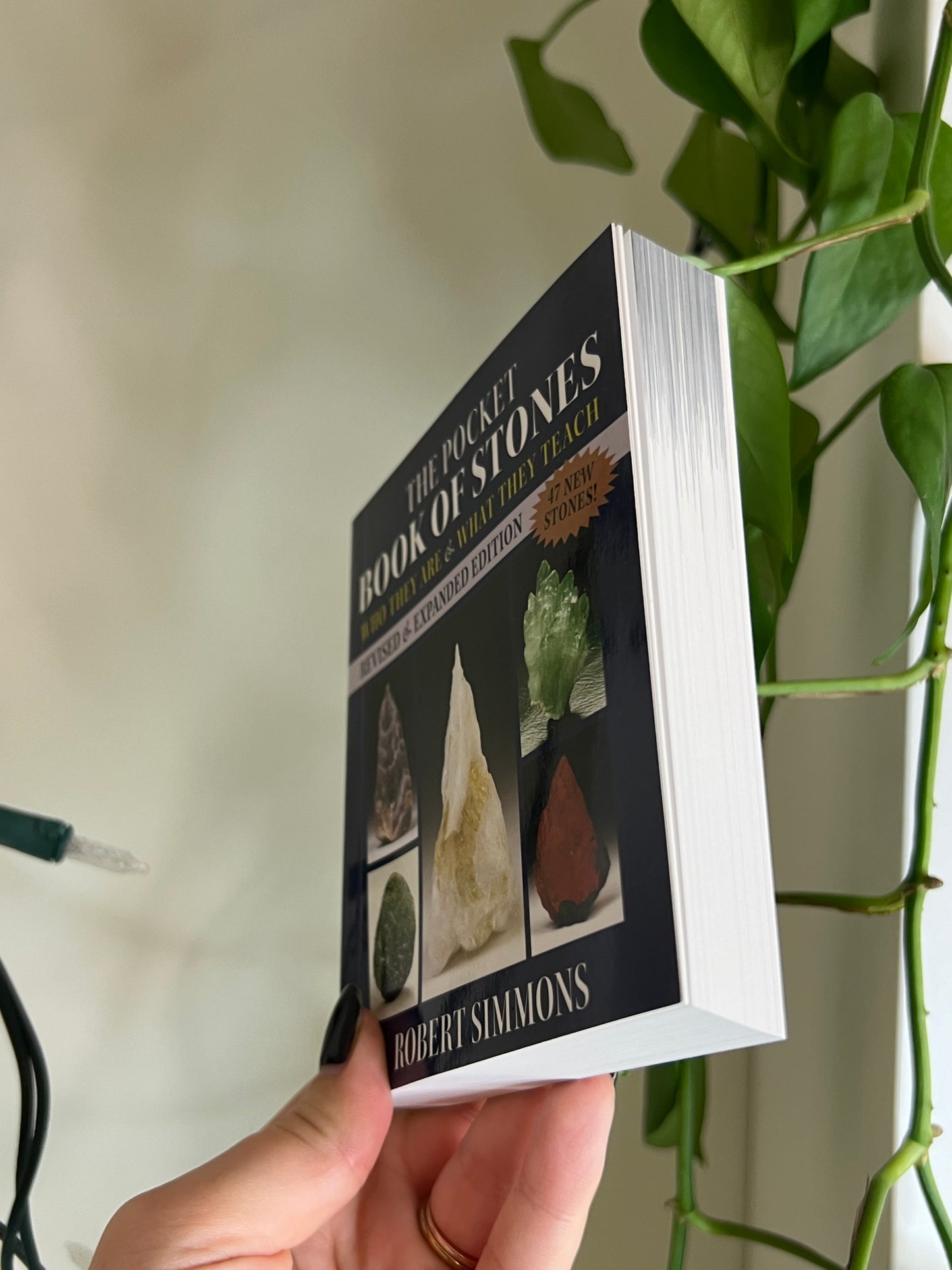 The Pocket Book of Stones