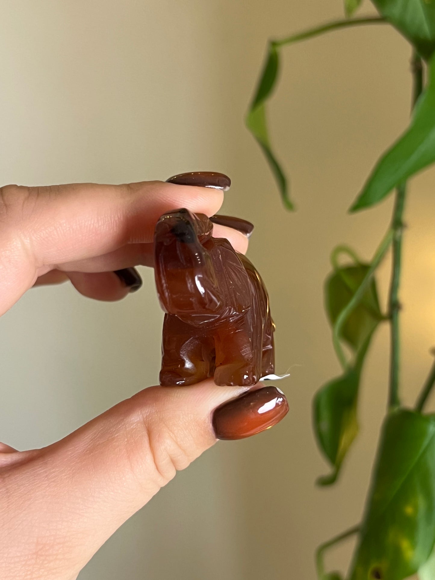 Carnelian Elephant