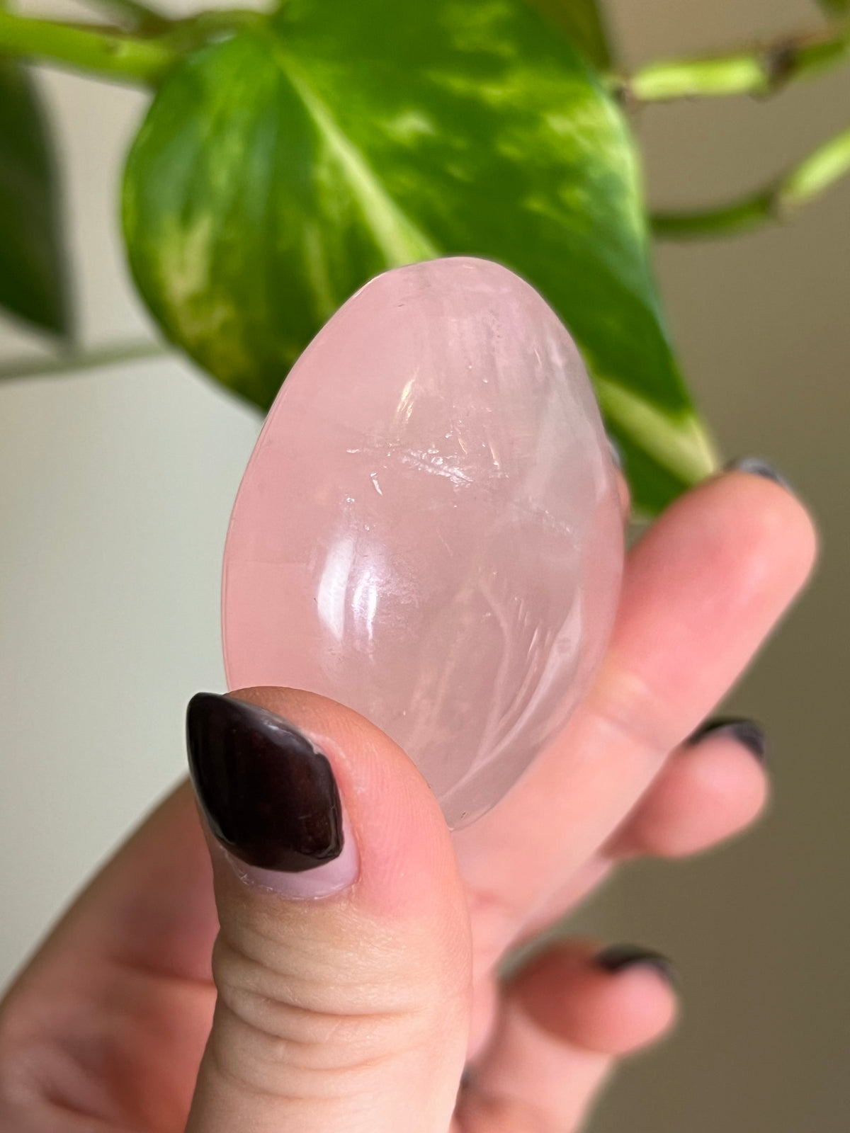 Star Rose Quartz Palm Stone - 5