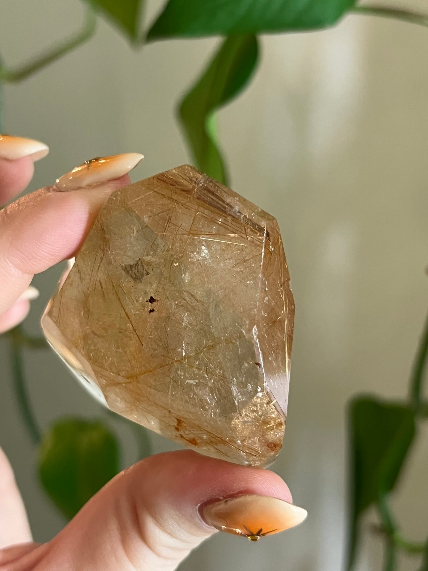 Golden Rutile Quartz Gusher - Z
