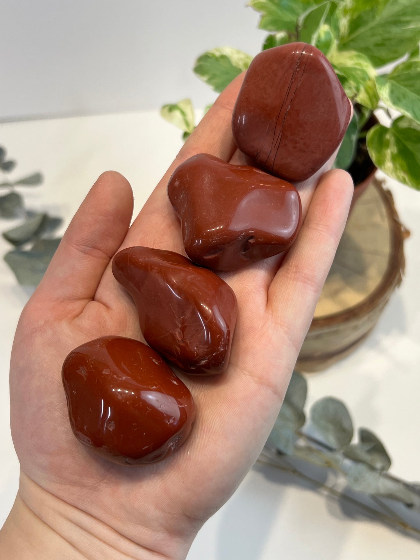 Red Jasper Tumbled
