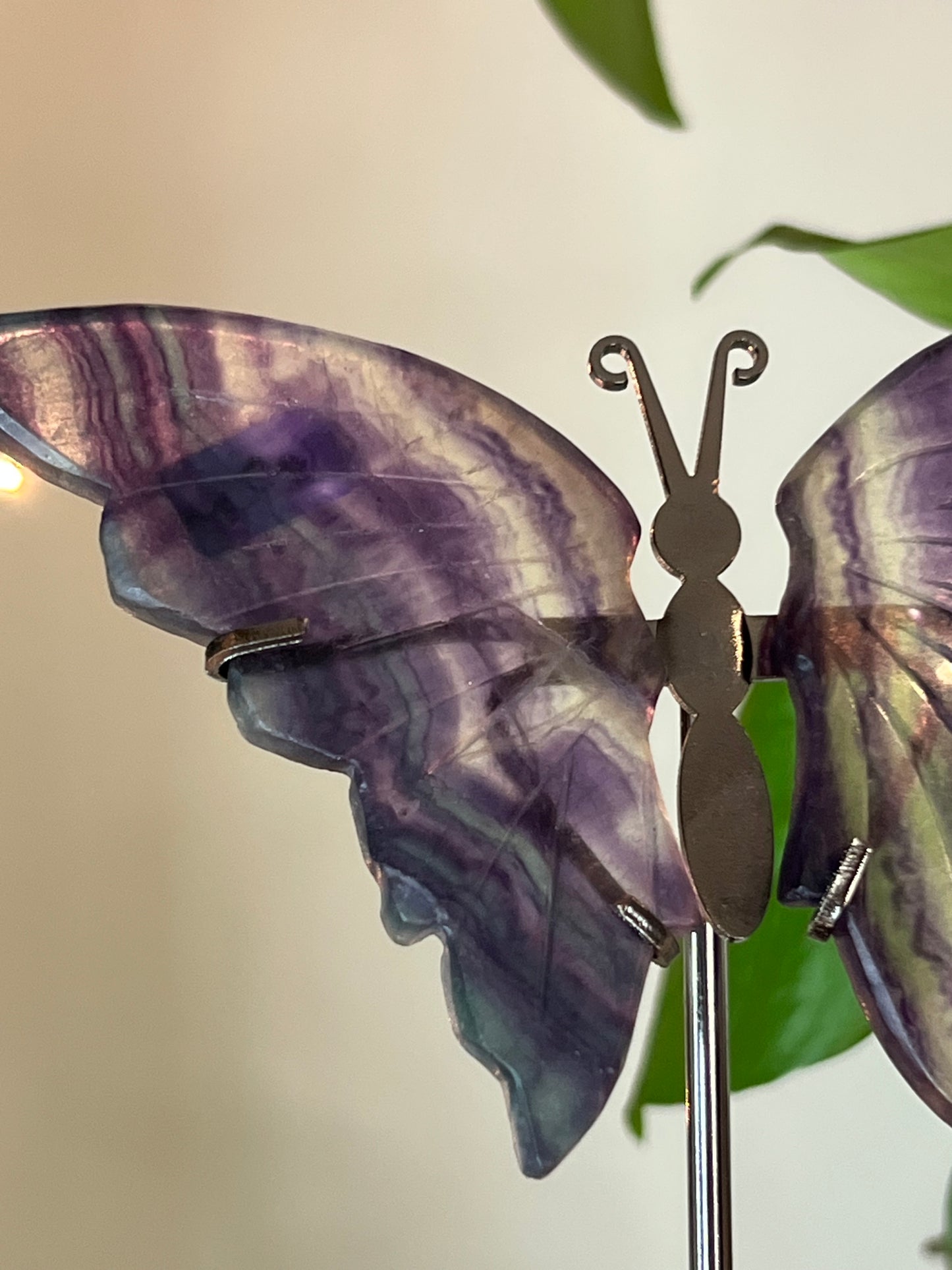 Rainbow Fluorite Butterfly Stand - M