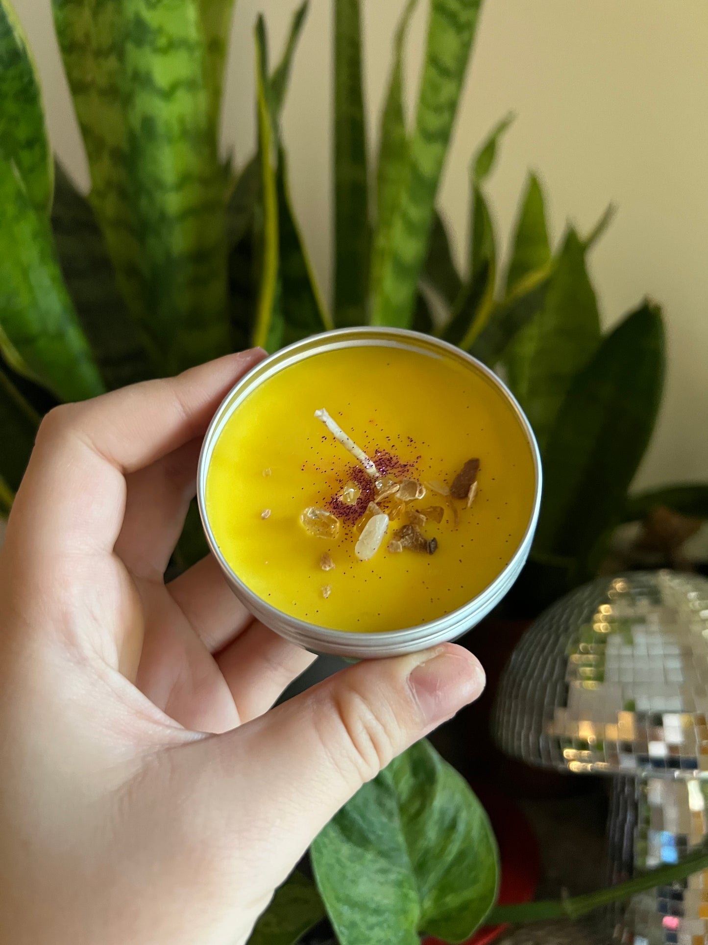Zest For Life Lg Tealight