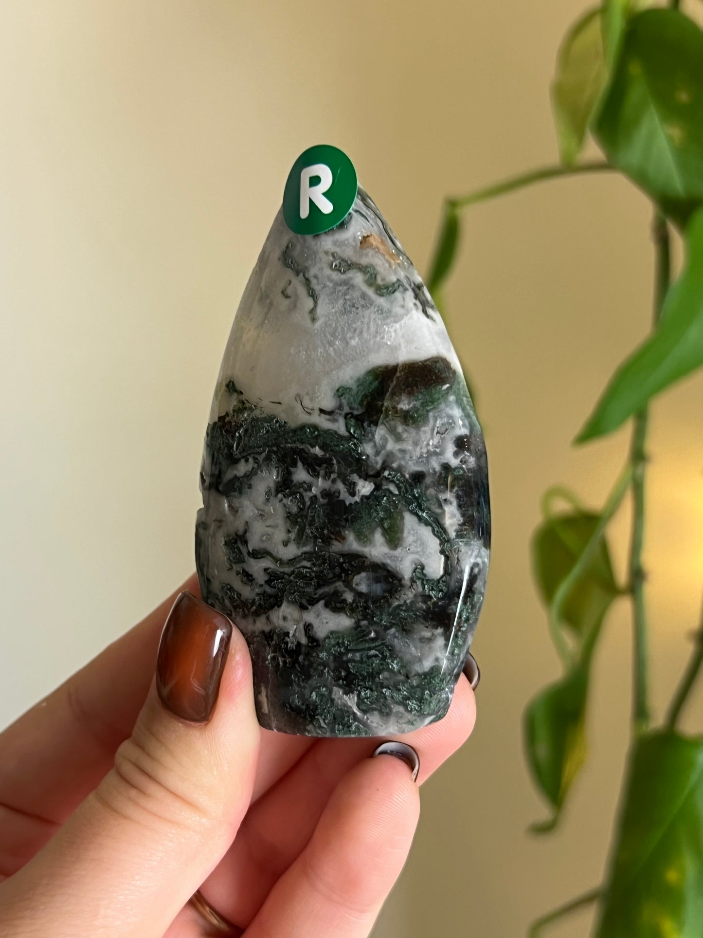 Moss Agate Freeform - R