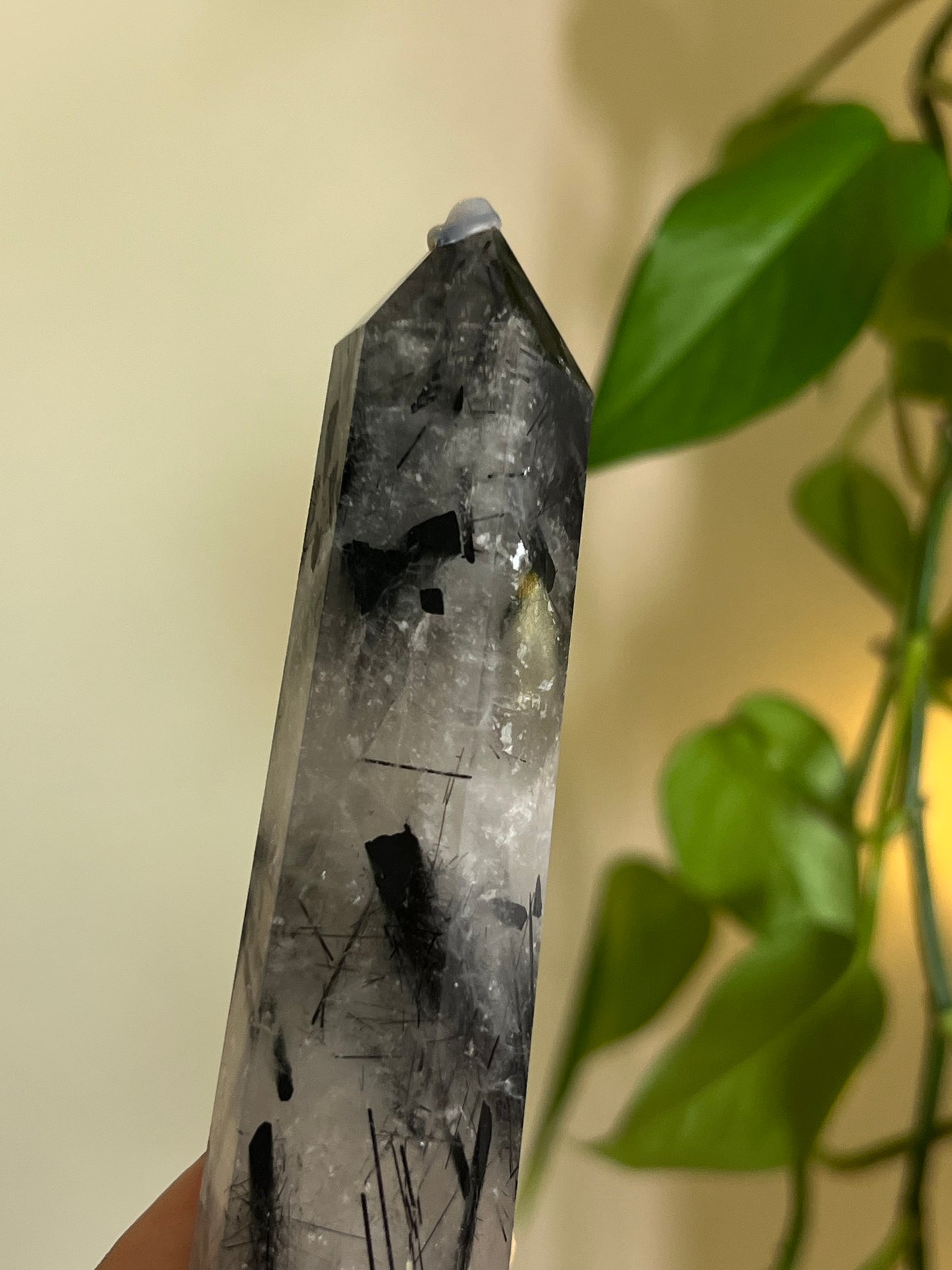 High Quality Black Tourmaline in Quartz Towers