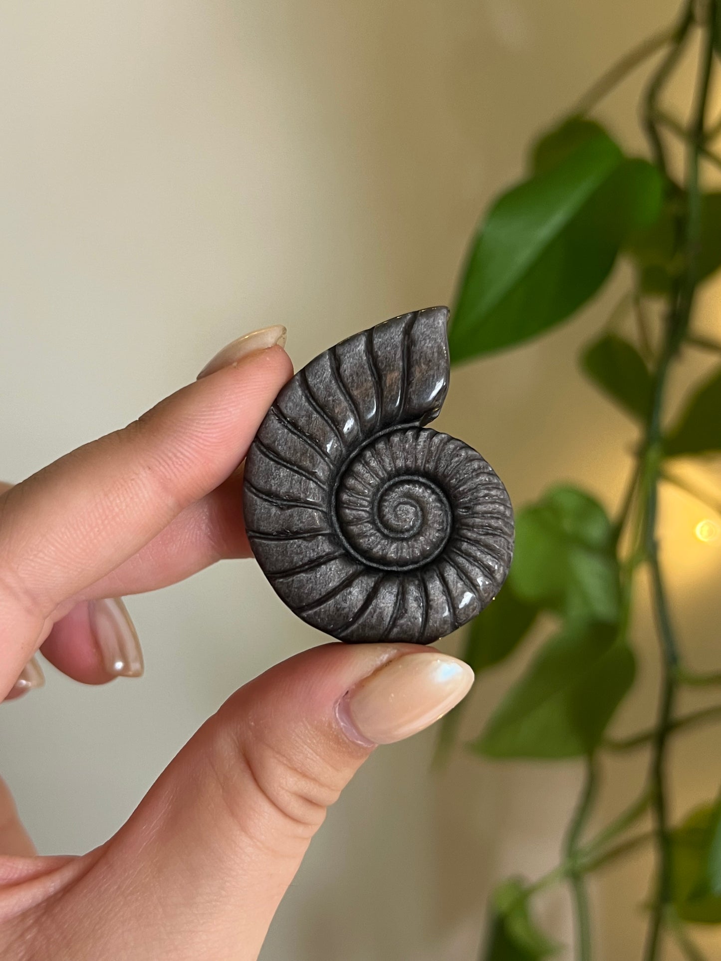Silver Sheen Obsidian "Ammonite" Carving